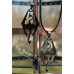 Stainless Steel Laser Cut Dragons - Stainless Steel
